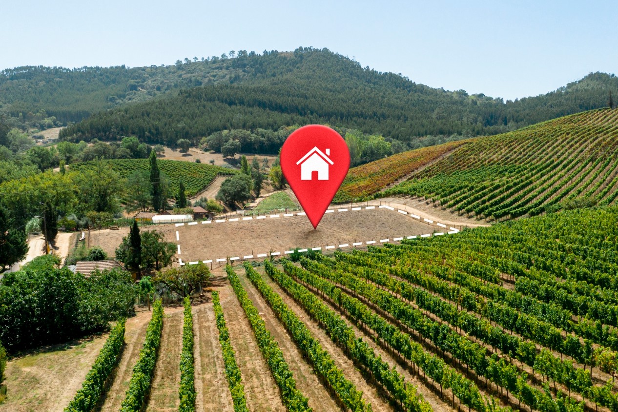 European Plots Worth Building On: Location Secrets Revealed